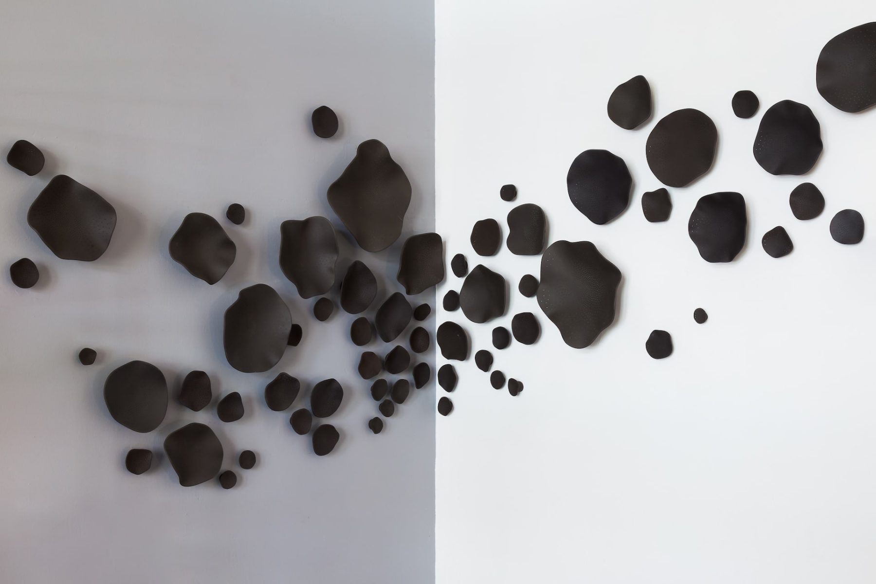 GÉNESIS (BLACK)