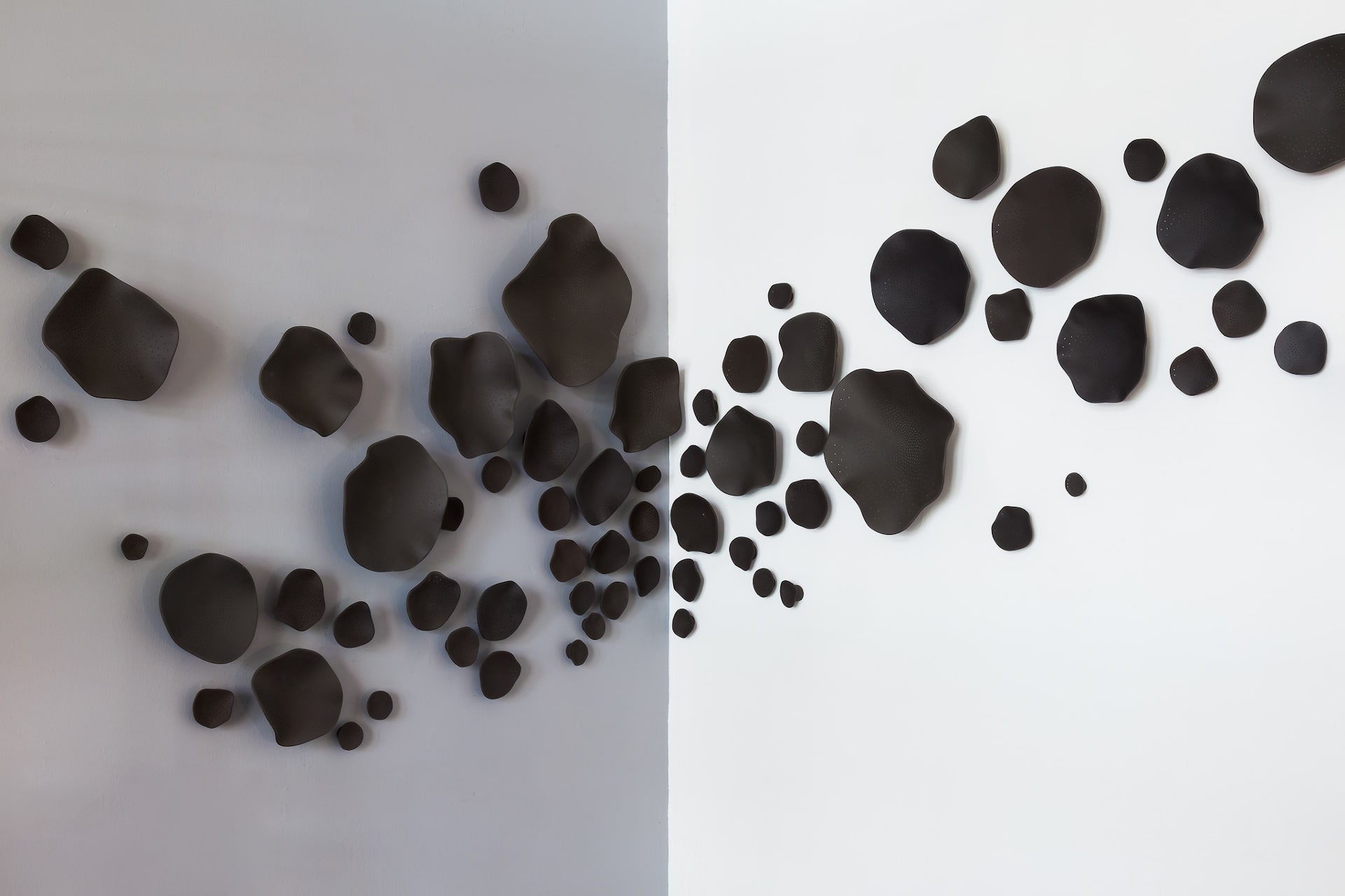 GÉNESIS (BLACK)