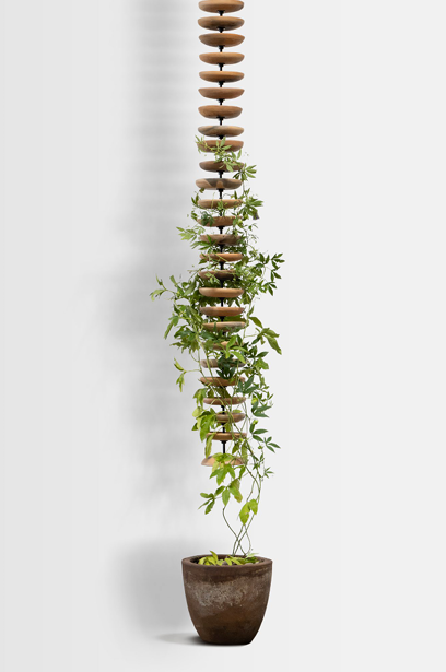 LIANAS