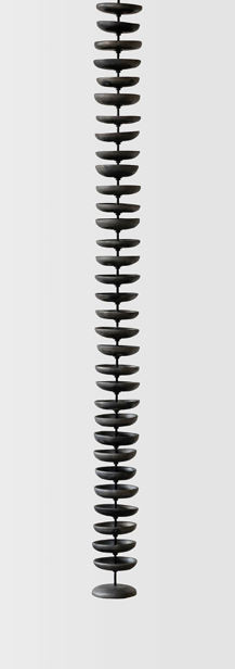 LIANAS