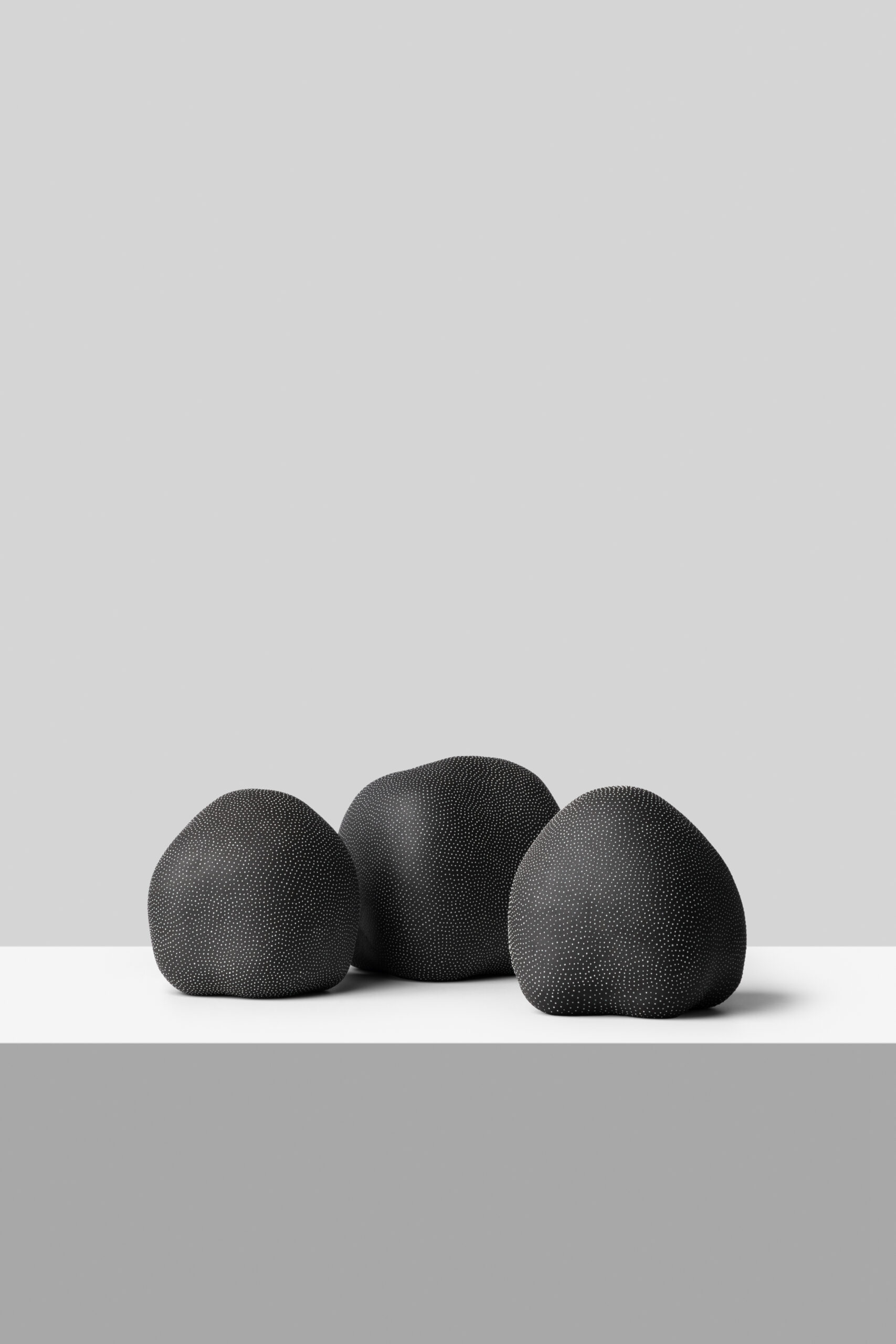 CONDIOSPORA I, II, III