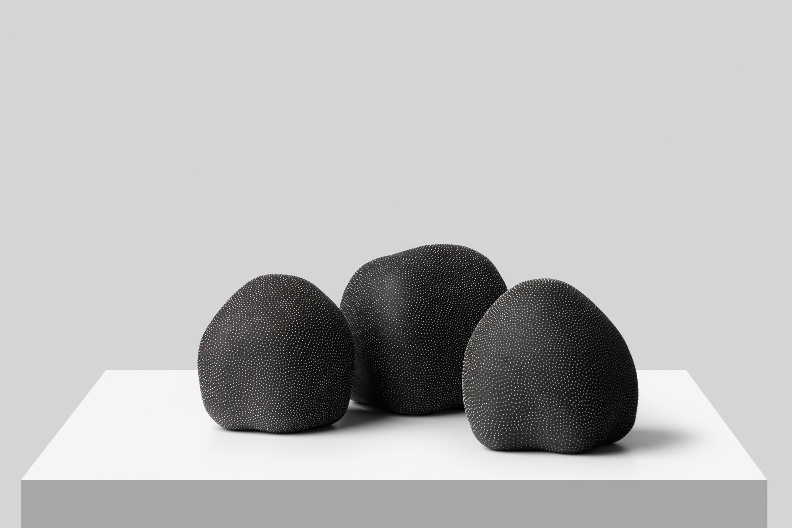 CONDIOSPORA I, II, III