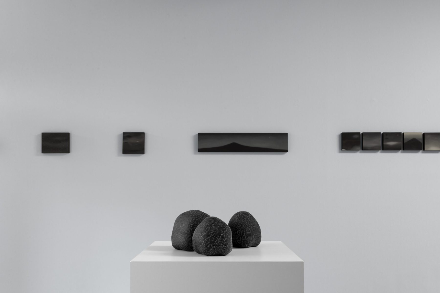 CONDIOSPORA I, II, III