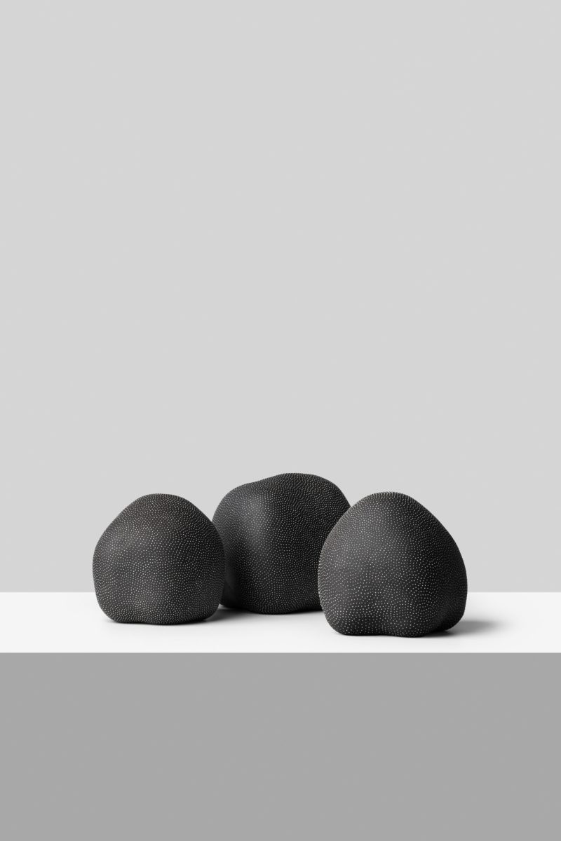 CONDIOSPORA I, II, III
