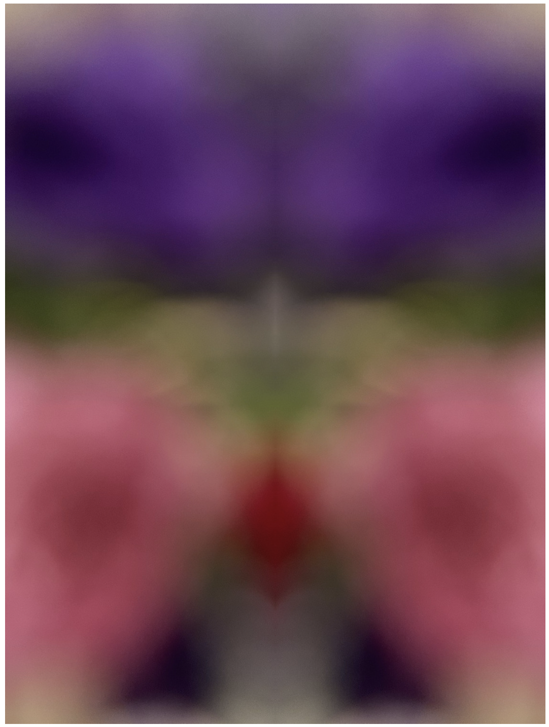 SENSES 1