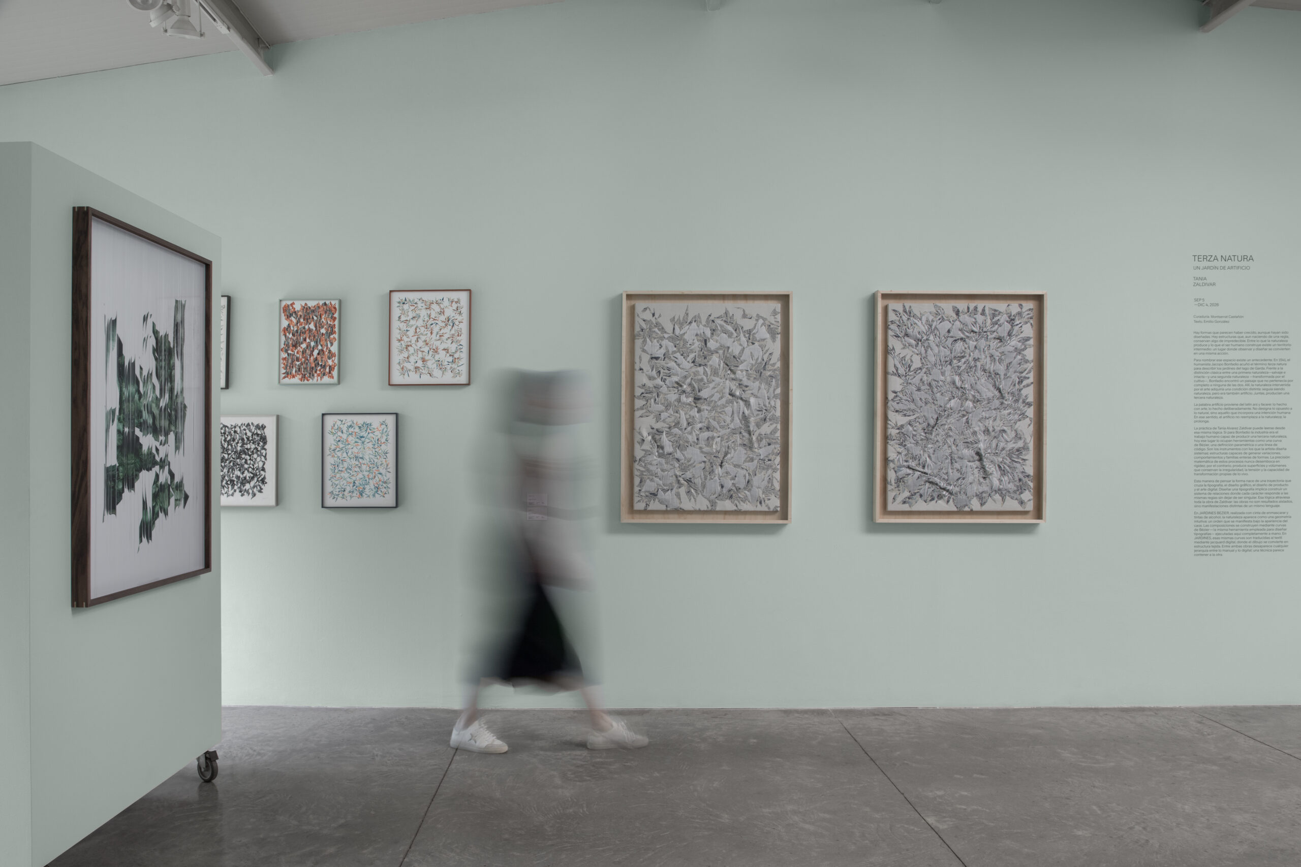 JARDÍN – 171 | JARDÍN – 24